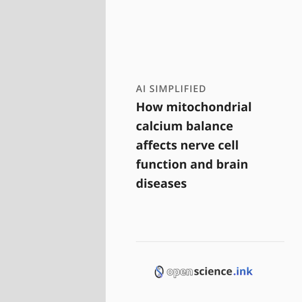 How mitochondrial calcium balance affects nerve cell function and brain ...