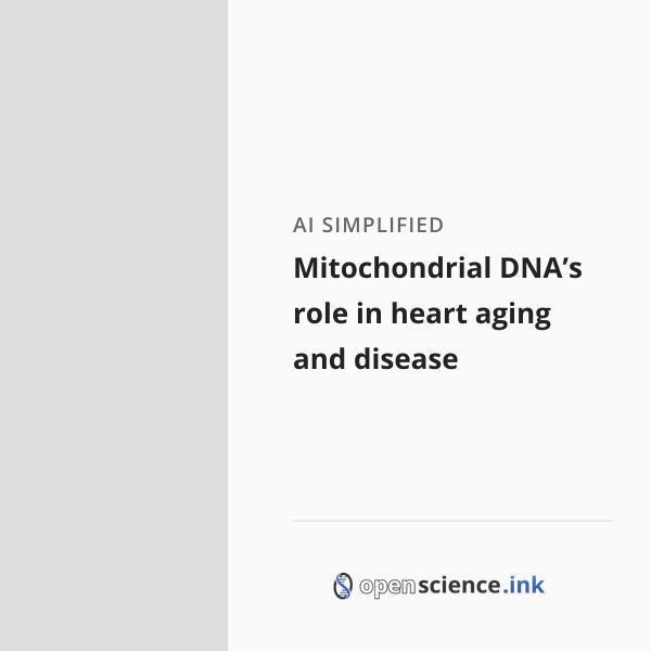 Mitochondrial DNA’s role in heart aging and disease | studies, simplified