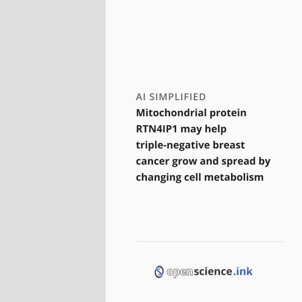 Photo: openscience.ink Mitochondrial protein RTN4IP1 may help triple-negative breast cancer grow and spread by changing cell metabolism