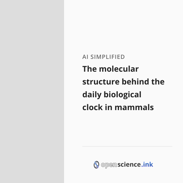 The molecular structure behind the daily biological clock in mammals ...