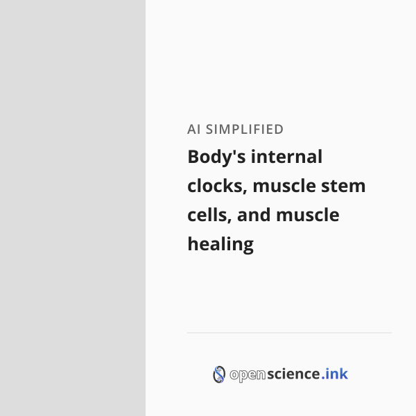 Body's internal clocks, muscle stem cells, and muscle healing | studies ...