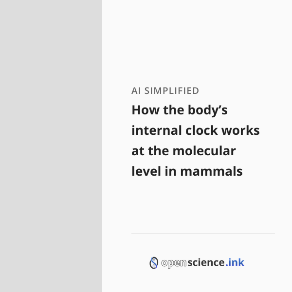 How the body’s internal clock works at the molecular level in mammals ...