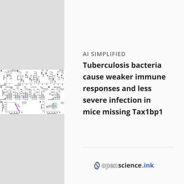 Tuberculosis bacteria cause weaker immune responses and less severe ...