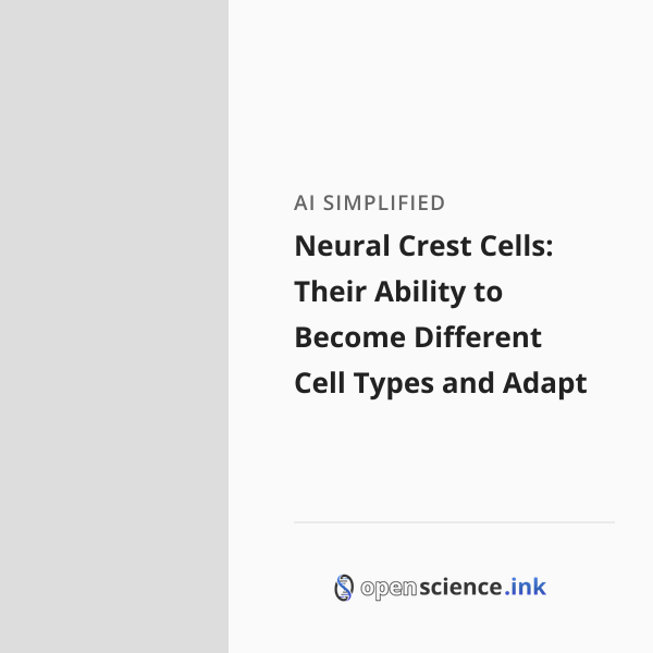 Neural Crest Cells: Their Ability to Become Different Cell Types and ...