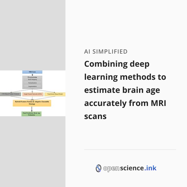 Combining deep learning methods to estimate brain age accurately from ...