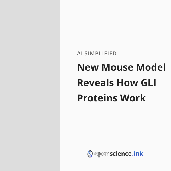 New Mouse Model Reveals How GLI Proteins Work | studies, simplified