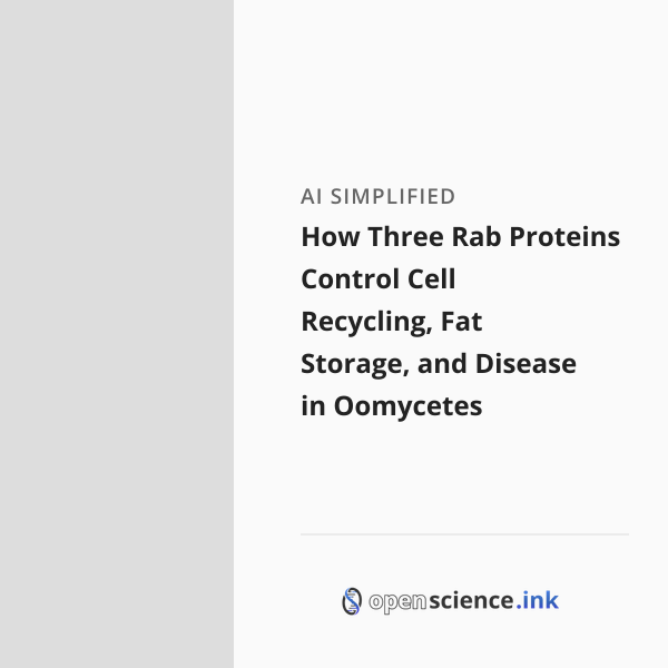 How Three Rab Proteins Control Cell Recycling, Fat Storage, and Disease ...