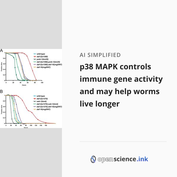 p38 MAPK controls immune gene activity and may help worms live longer ...