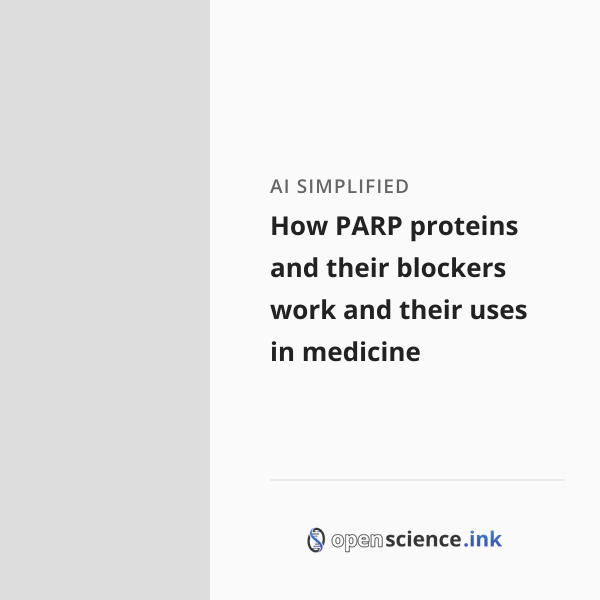 How PARP proteins and their blockers work and their uses in medicine ...