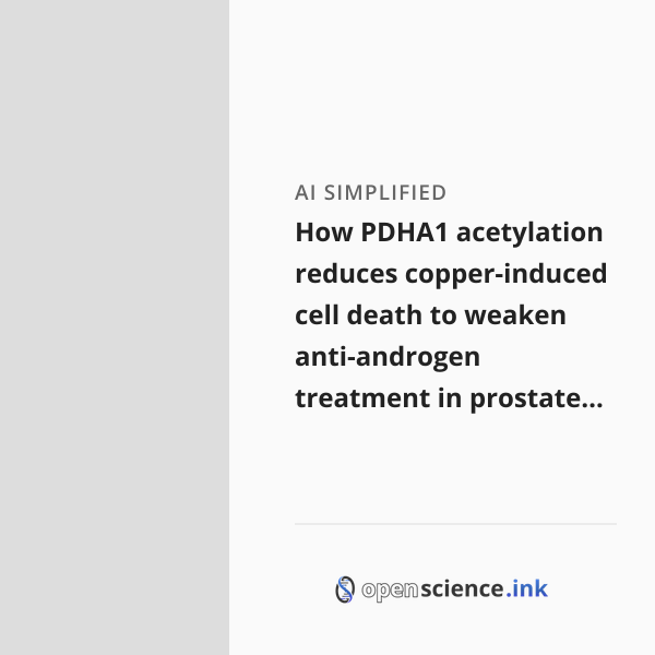 How PDHA1 acetylation reduces copper-induced cell death to weaken anti ...