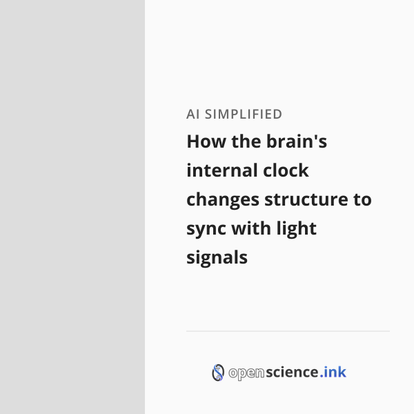 How the brain's internal clock changes structure to sync with light ...
