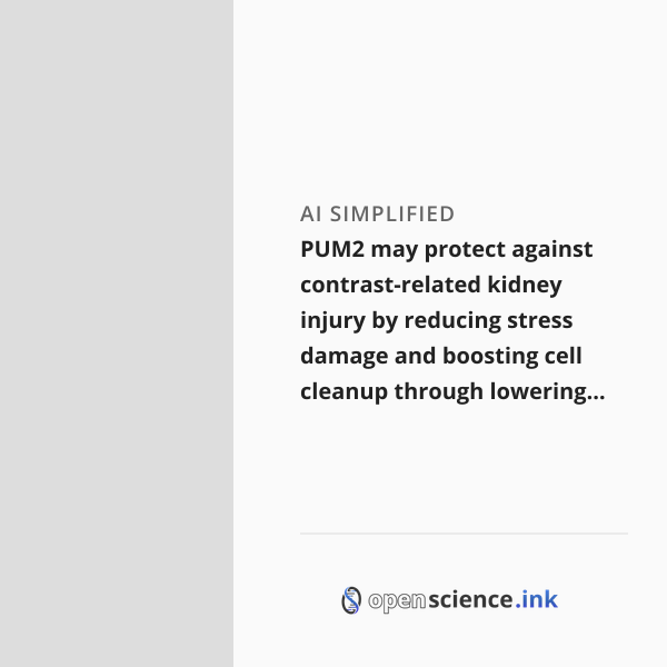 Pum Ink PUM2 may protect against contrast-related kidney injury by reducing ...