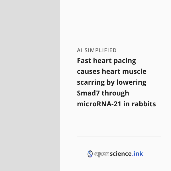 Fast heart pacing causes heart muscle scarring by lowering Smad7 ...