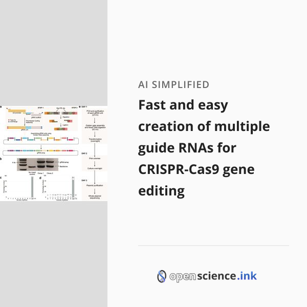 Fast and easy creation of multiple guide RNAs for CRISPR-Cas9 gene ...