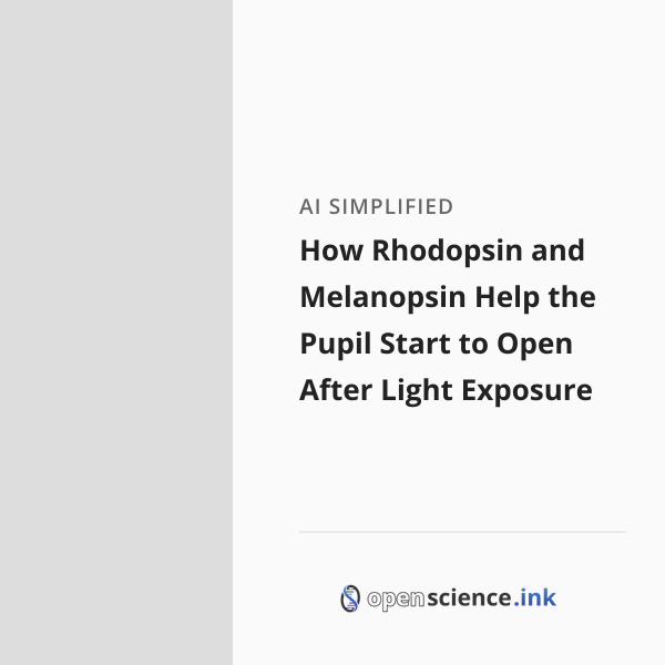 How Rhodopsin and Melanopsin Help the Pupil Start to Open After Light ...