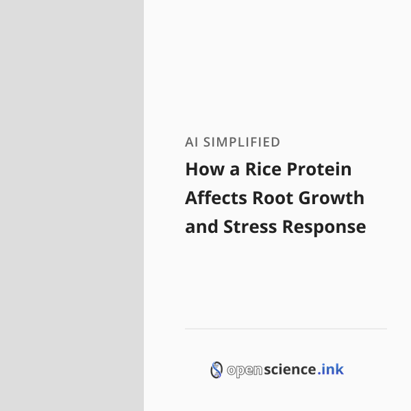 Protein Roots How a Rice Protein Affects Root Growth and Stress Response | studies ...