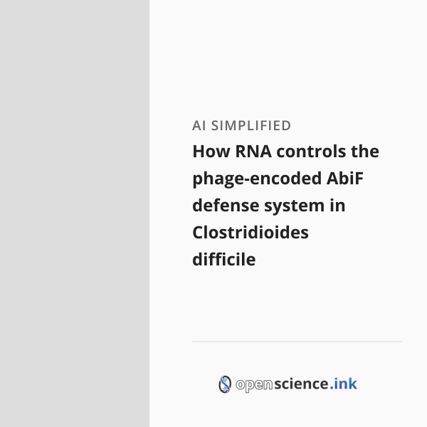 How RNA controls the phage-encoded AbiF defense system in ...