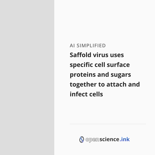 Saffold virus uses specific cell surface proteins and sugars together ...