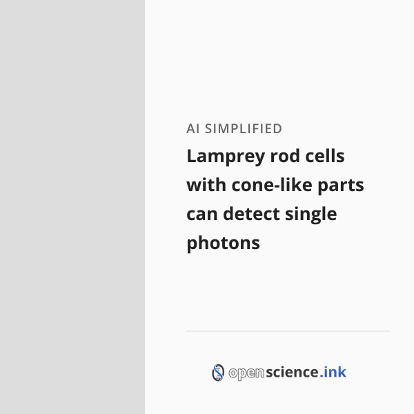 The Rods Detect Lamprey rod cells with cone-like parts can detect single photons ...