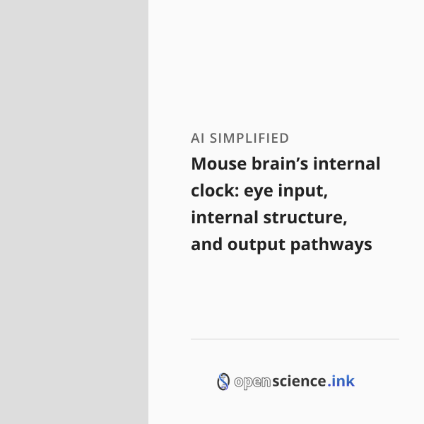 Mouse brain’s internal clock: eye input, internal structure, and output ...