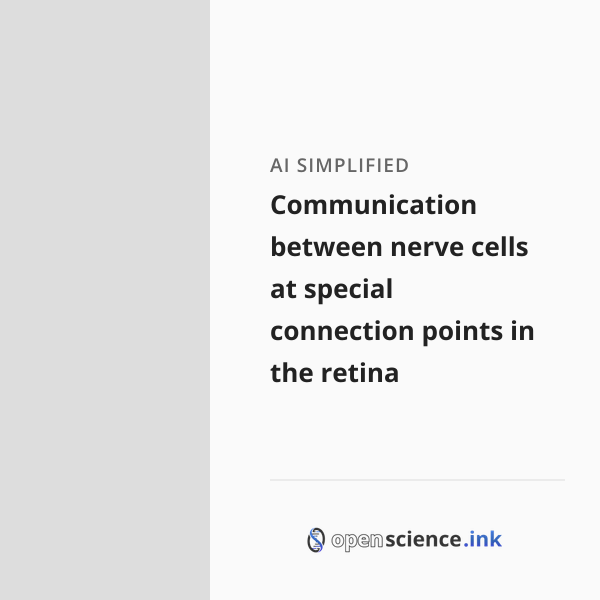 Retinal Ribbon Synapse Communication between nerve cells at special connection points in the ...