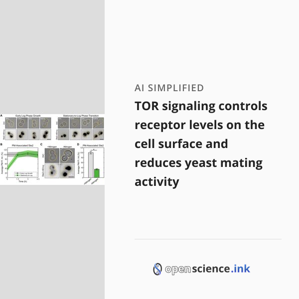 TOR signaling controls receptor levels on the cell surface and reduces ...