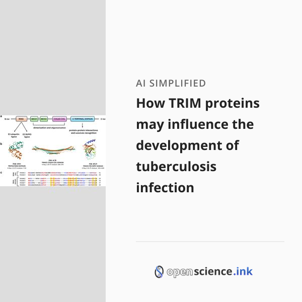 How TRIM proteins may influence the development of tuberculosis ...