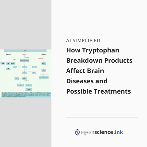 How Tryptophan Breakdown Products Affect Brain Diseases and Possible ...