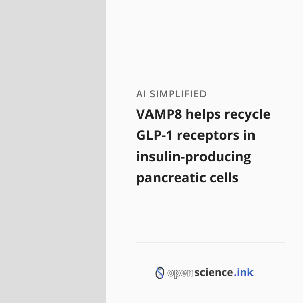 Vemp Ink VAMP8 helps recycle GLP-1 receptors in insulin-producing pancreatic ...