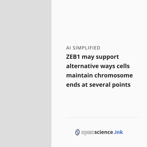 ZEB1 may support alternative ways cells maintain chromosome ends at ...