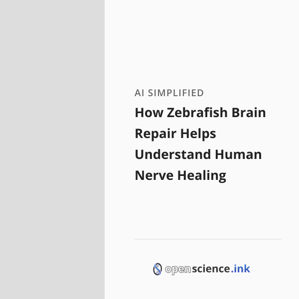 Zebrafish Brain Defect How Zebrafish Brain Repair Helps Understand Human Nerve Healing ...